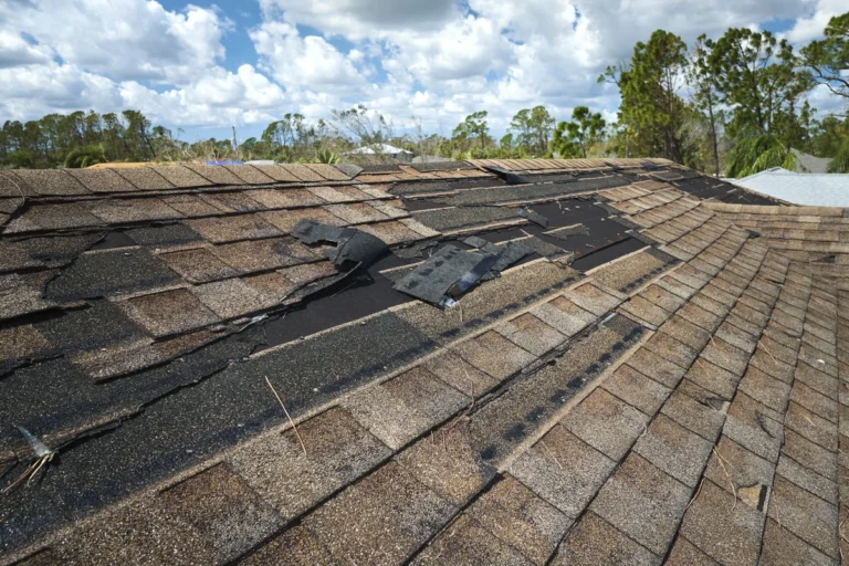 Roof Repair Missing Shingles Quick Fixes to Protect