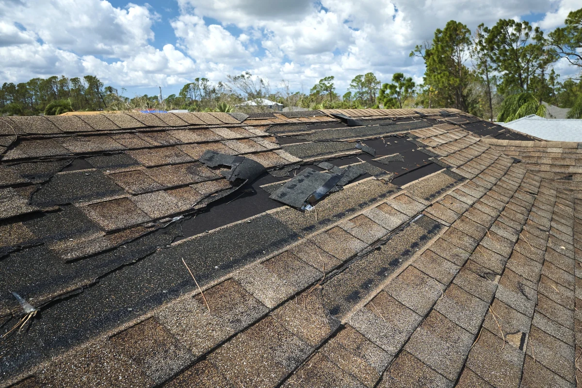 Roof Repair Missing Shingles Quick Fixes to Protect