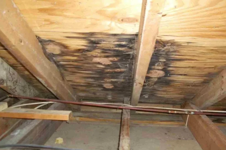 Roof Leaking Where Porch Meets House Causes and Quick Fixes
