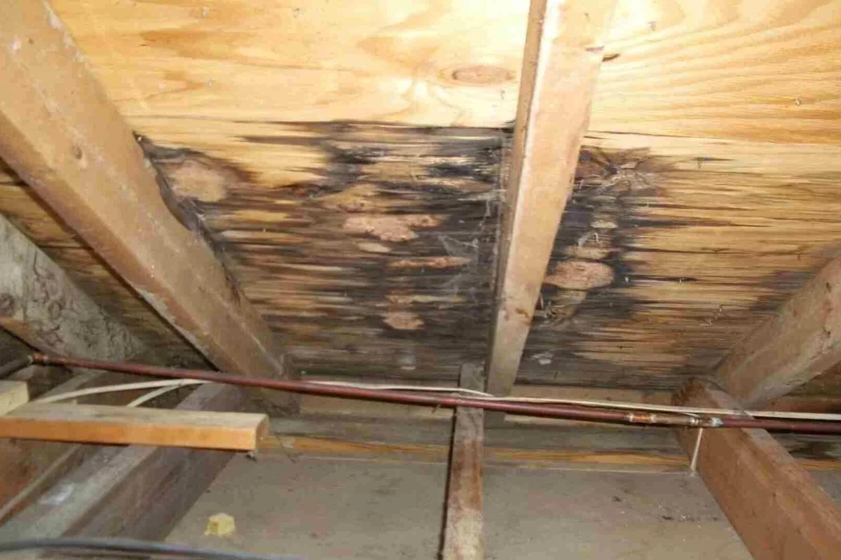 Roof Leaking Where Porch Meets House Causes and Quick Fixes