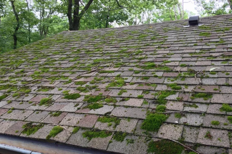 How to Clean Roof Moss for a Healthier and More Attractive