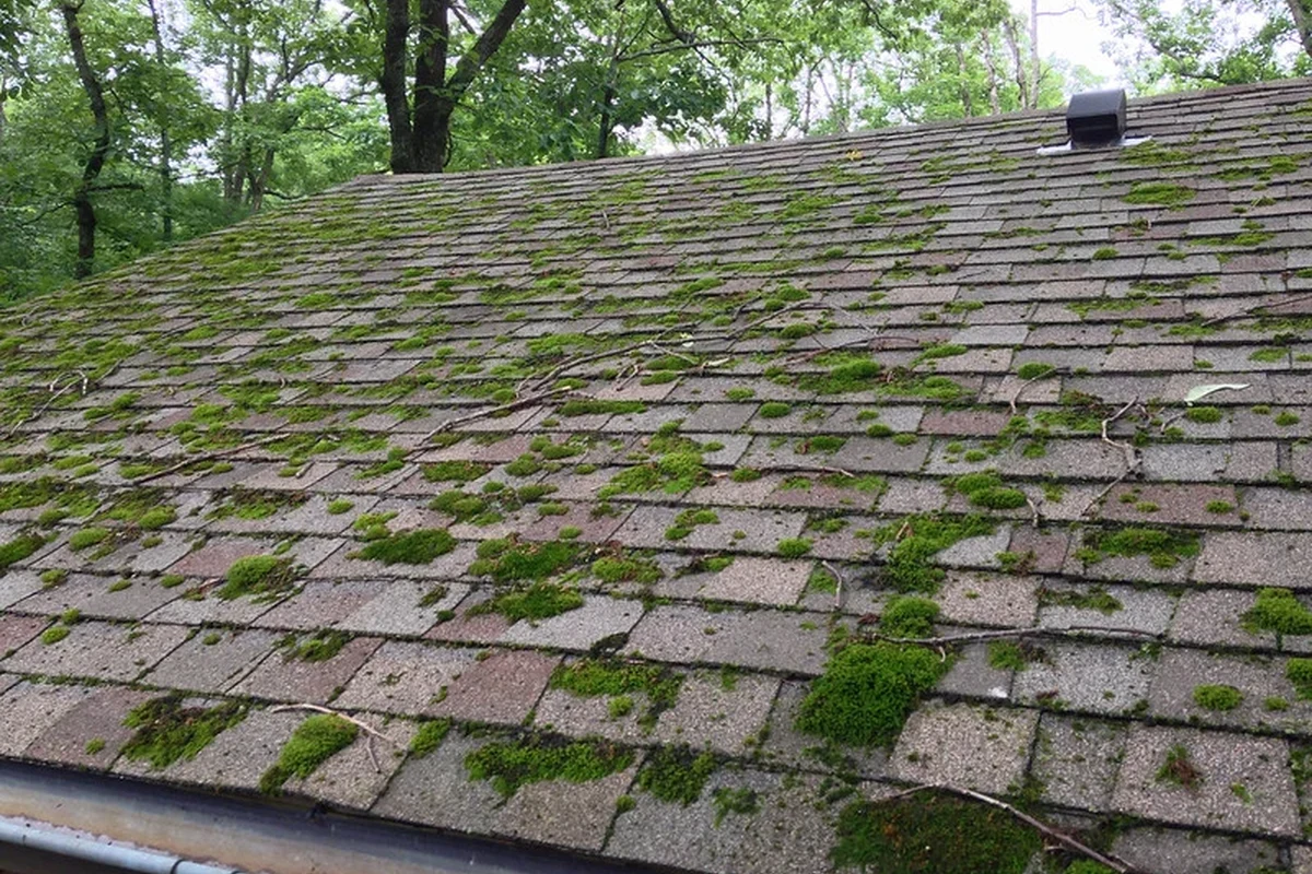 How to Clean Roof Moss for a Healthier and More Attractive