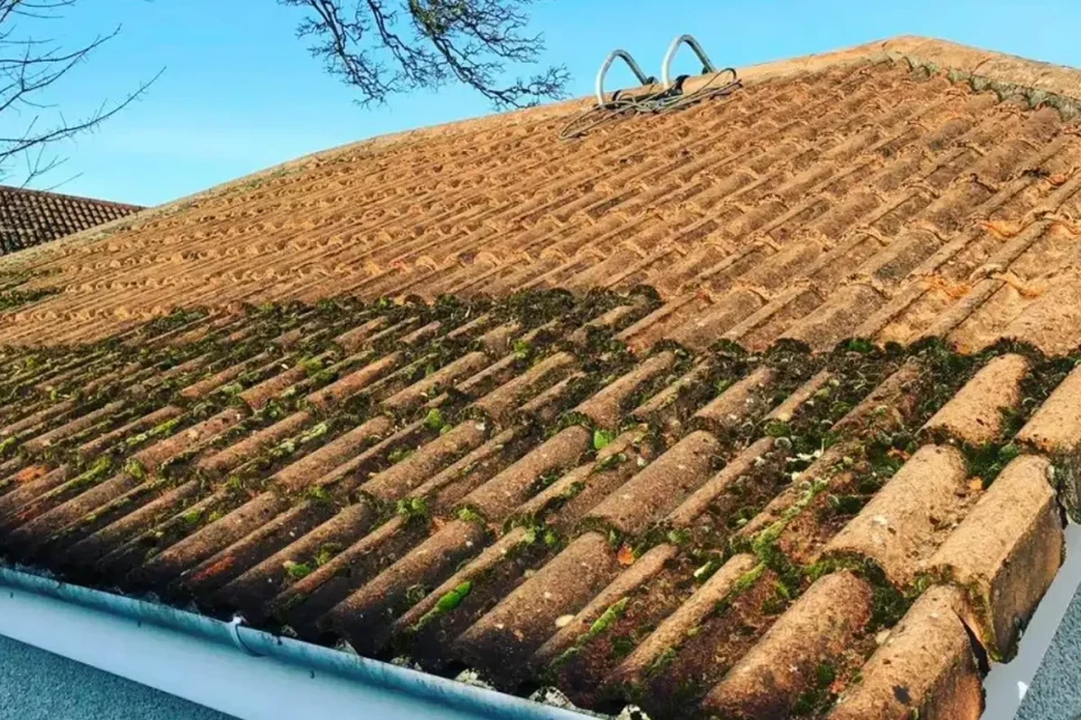Baking Soda for Roof Moss a Simple and Effective Solution