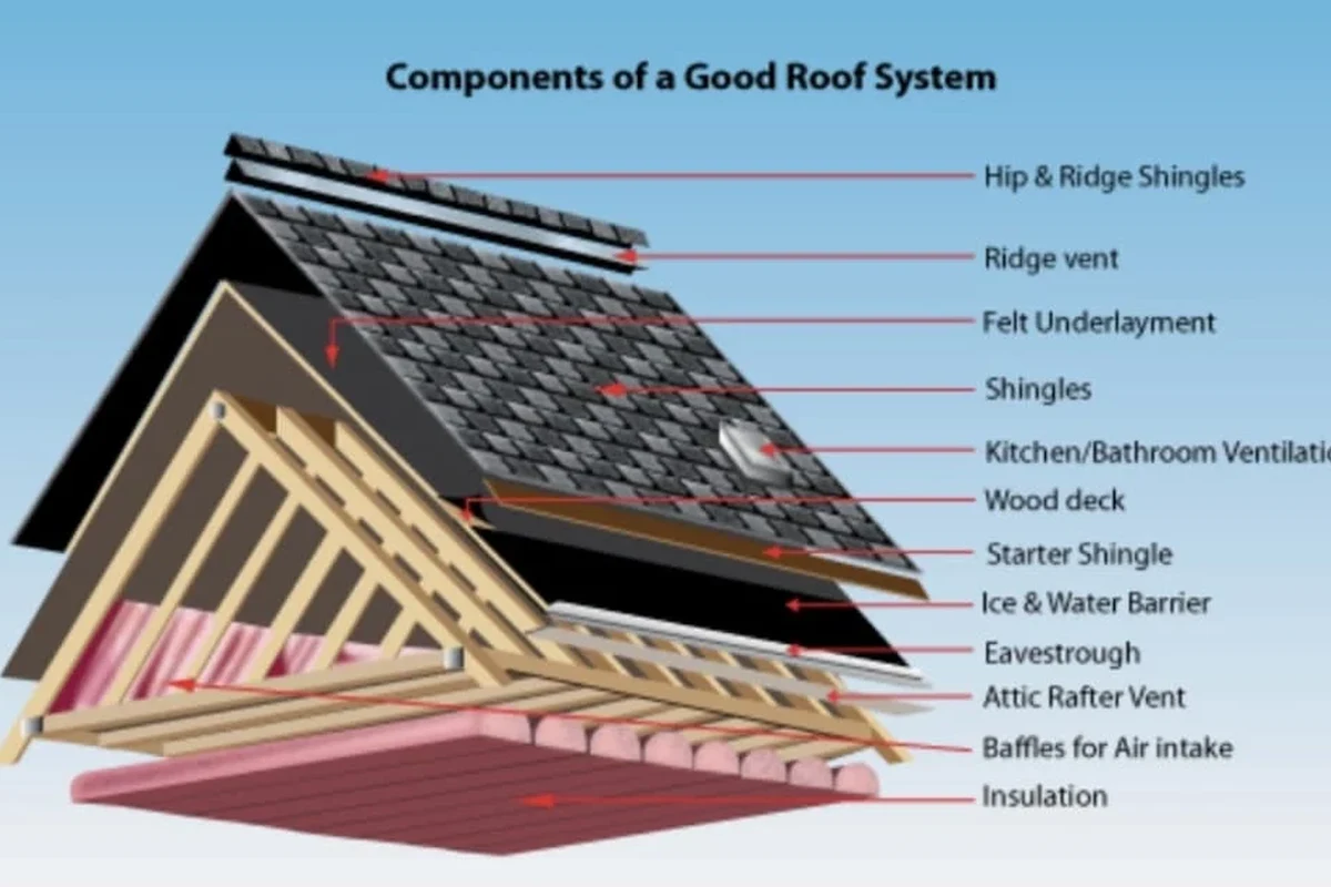 Type of Roof Shingles Best Options for Your Home Renovation