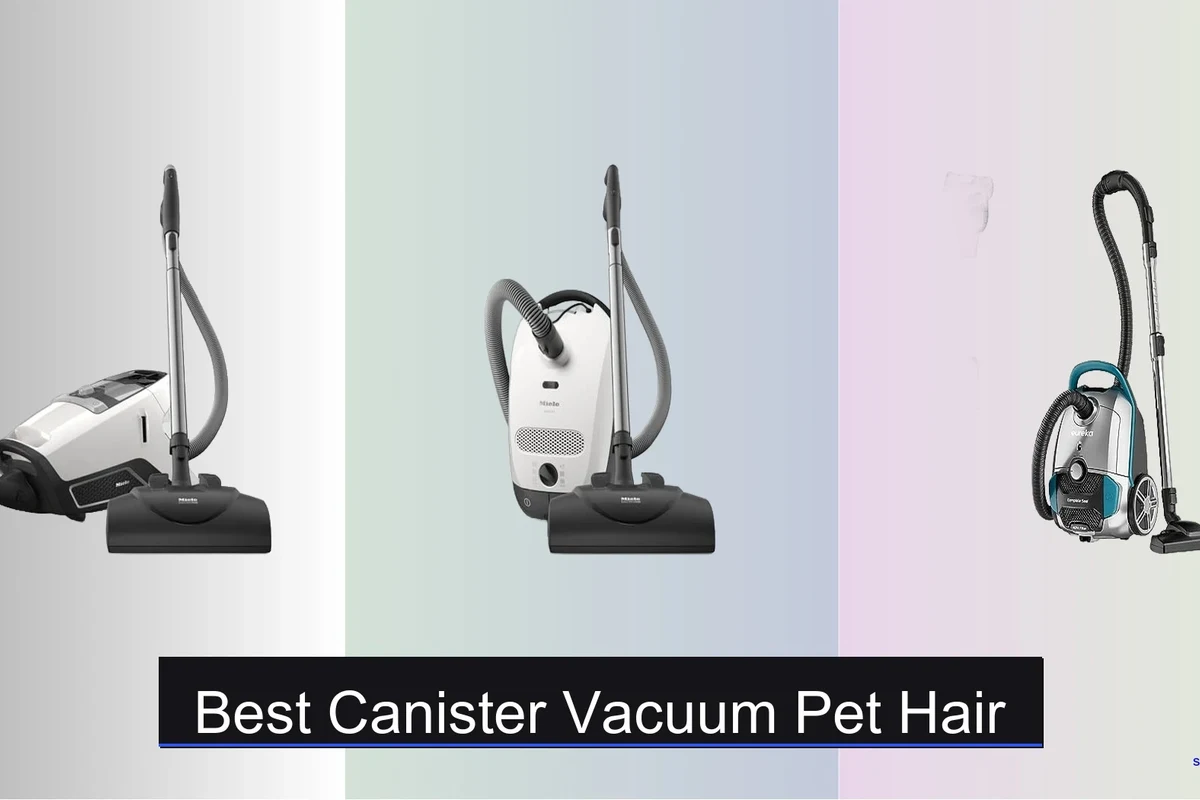 Pet Hair Vacuum vs Robot Vacuum Which Cleans Better for You in the UAE