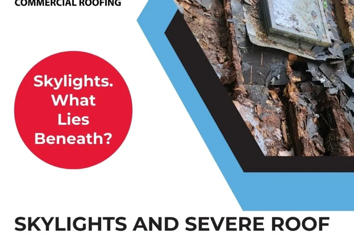 How to Find a Leak in a Metal Roof and Save on Repairs