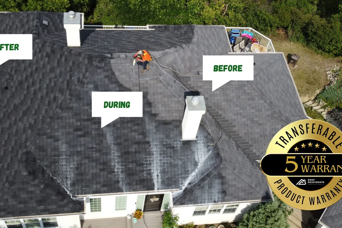 What Is a Roof Tune-up and Why IT Saves You Money
