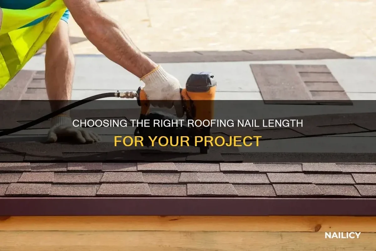 How Many Nails in a Roofing Coil for Your Next Project
