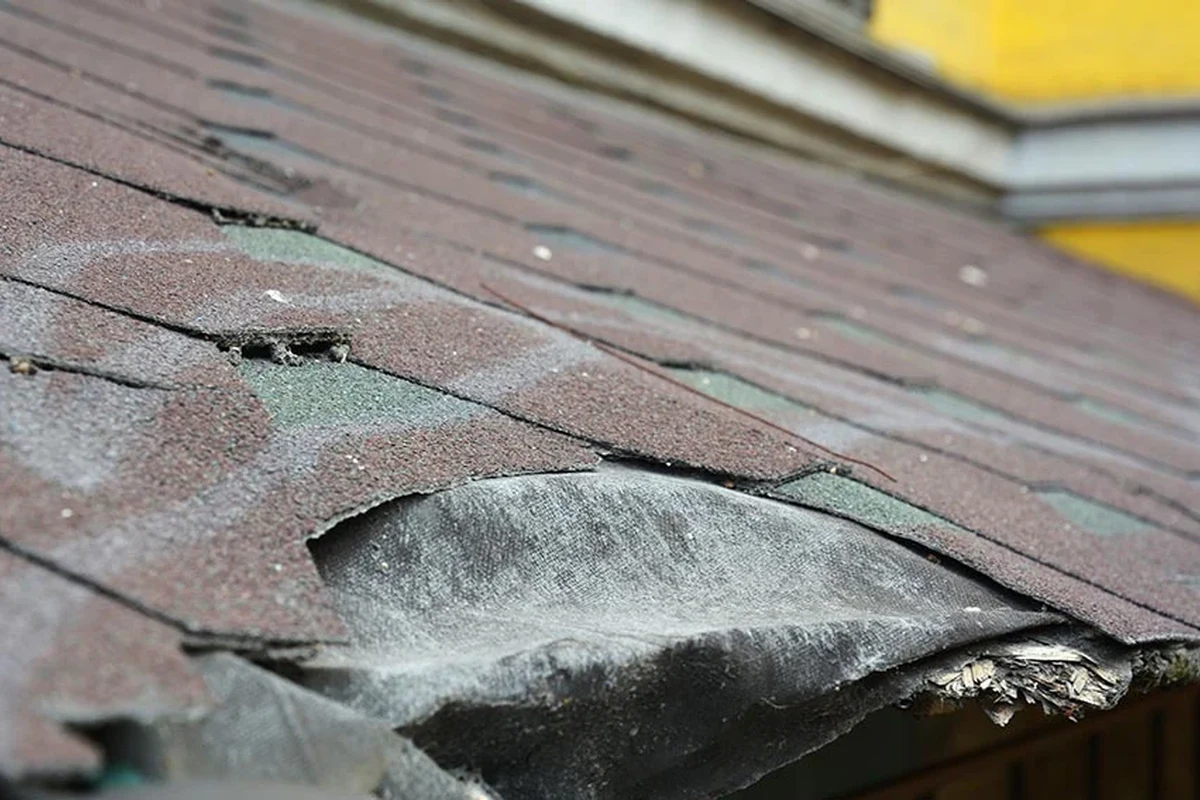 How to Maintain a Roof for Longlasting Protection and Value