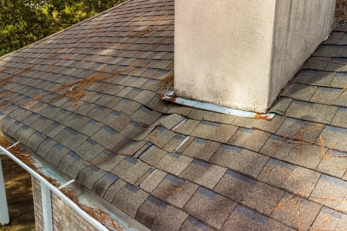 How to Check Roof for Leaks and Prevent Costly Water Damage