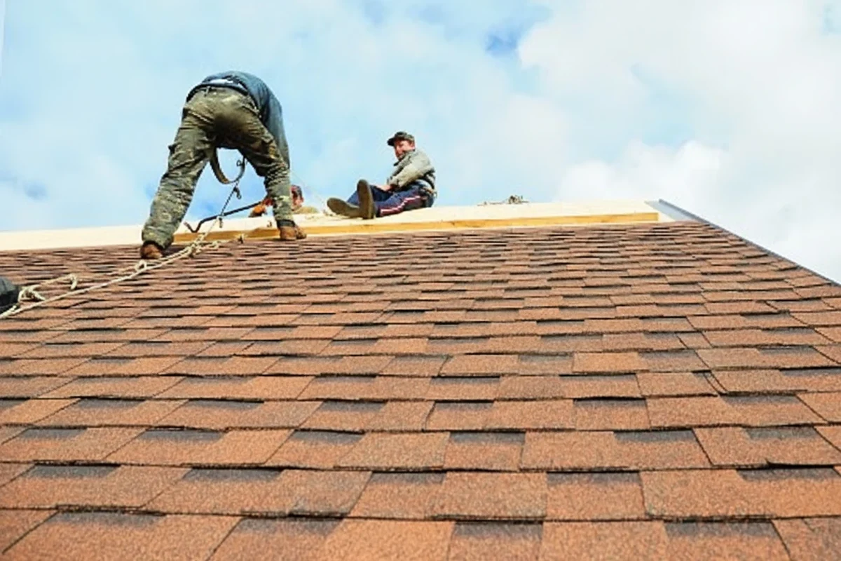 Where to Buy Roofing Shingles Near Me for Great Deals Today