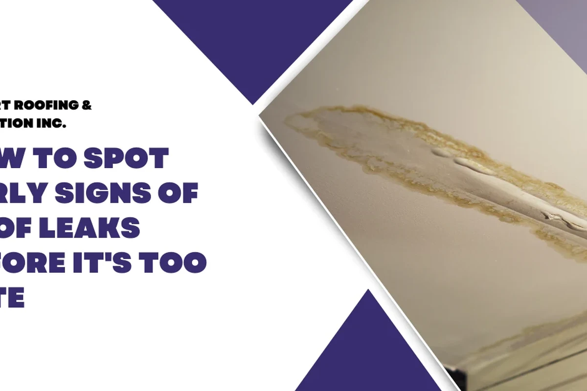 How Do I Know If My Roof Is Leaking and What to Do Next