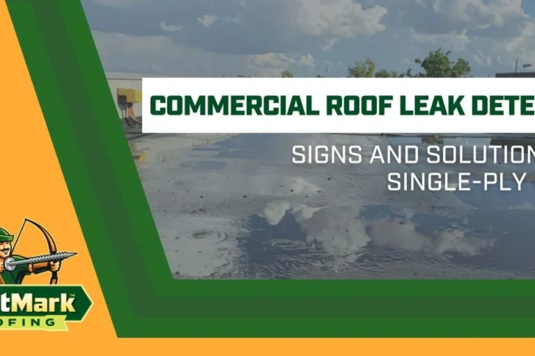 Roof Is Leaking What Do I Do Quick Fixes to Prevent Damage