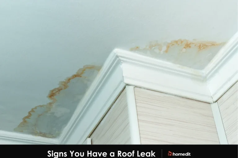 How to Tell If Roof Is Leaking and Prevent Costly Damage