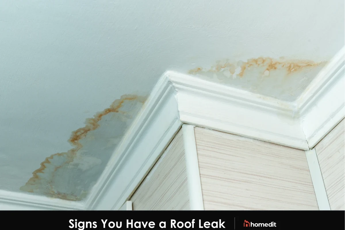 How to Tell If Roof Is Leaking and Prevent Costly Damage