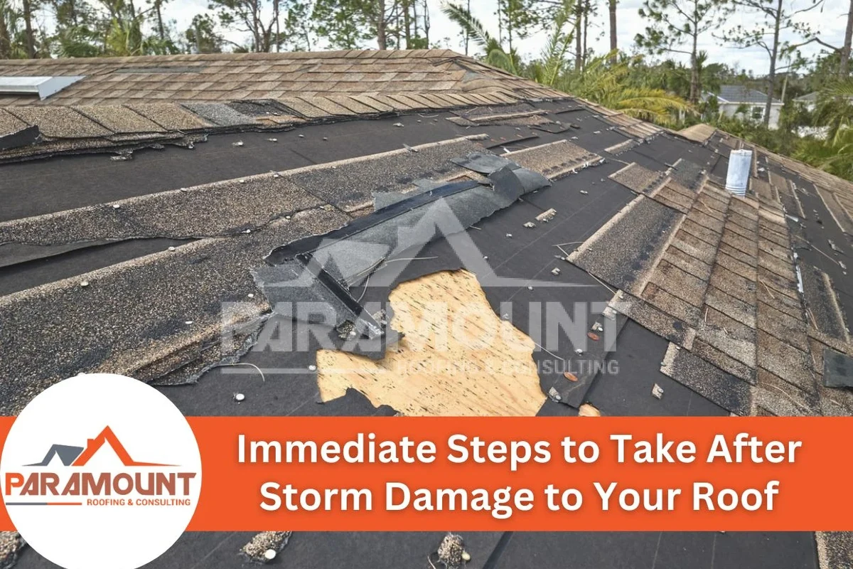 How to Find a Roof Leak from the Outside and Protect