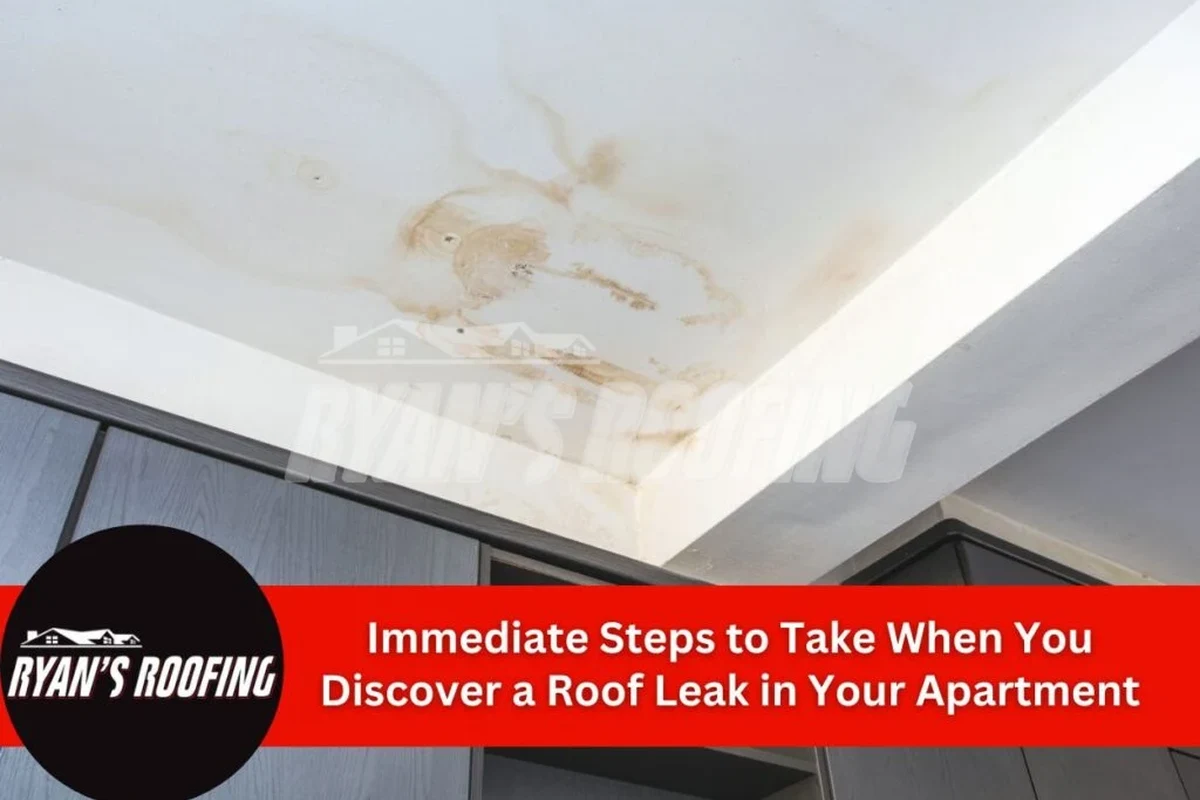 My Roof Is Leaking What Do I Do to Prevent Further Damage