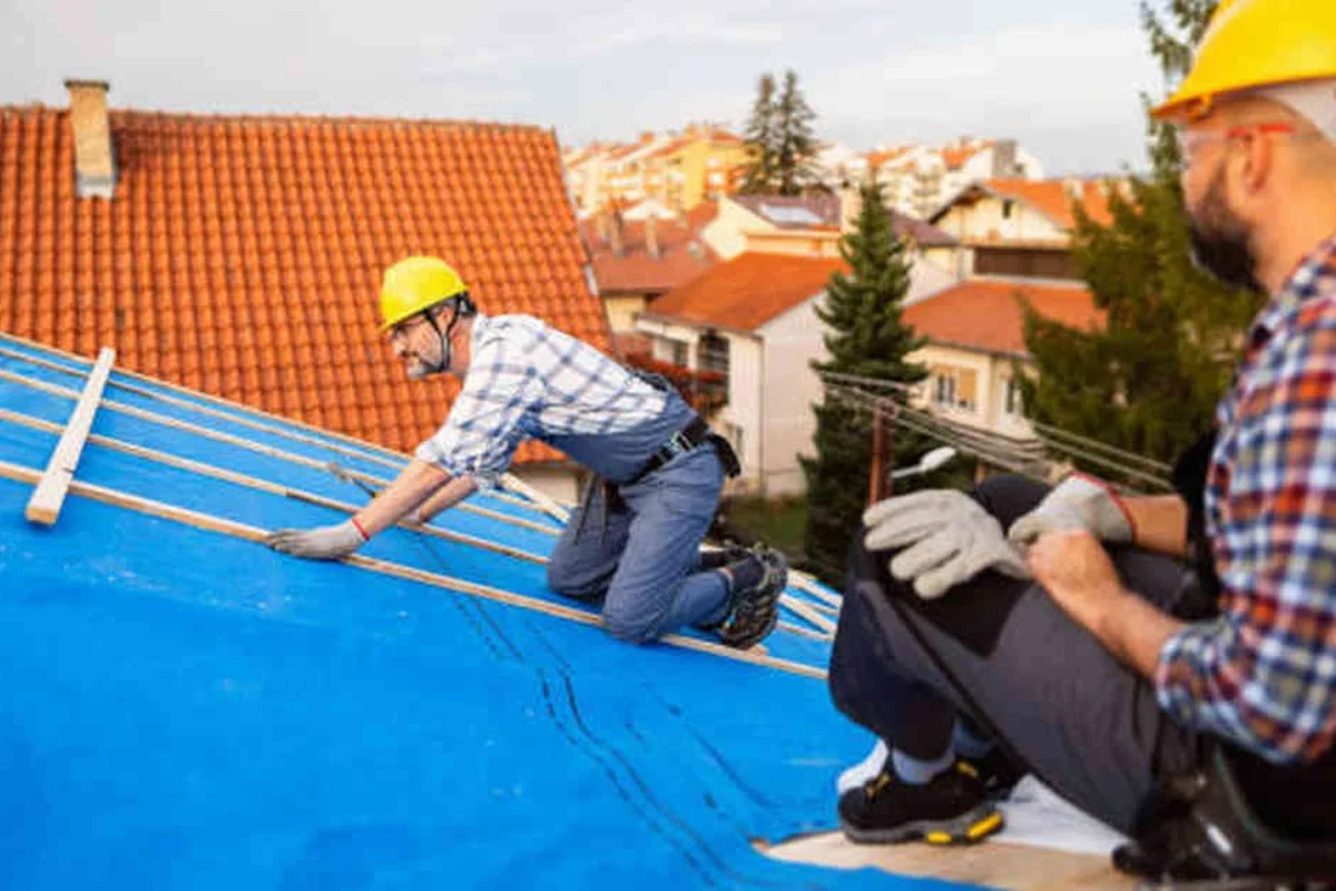 Where to Buy Shingles Near Me for the Best Local Prices