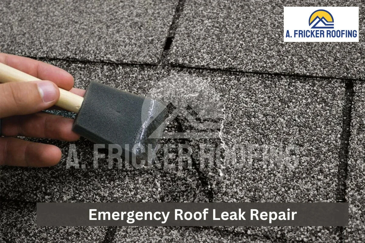Who to Call for Leaking Roof Expert Tips to Stop Water