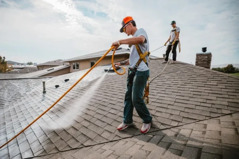 What Does Roof Maxx Spray on Your Roof for Longerlasting