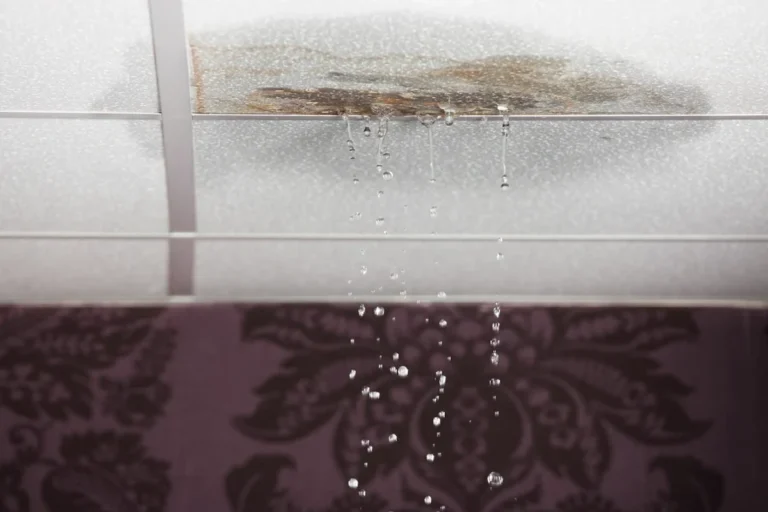 How to Stop a Ceiling from Leaking and Save Your Home