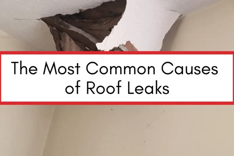 What to Do If My Roof Is Leaking Tips to Prevent Costly