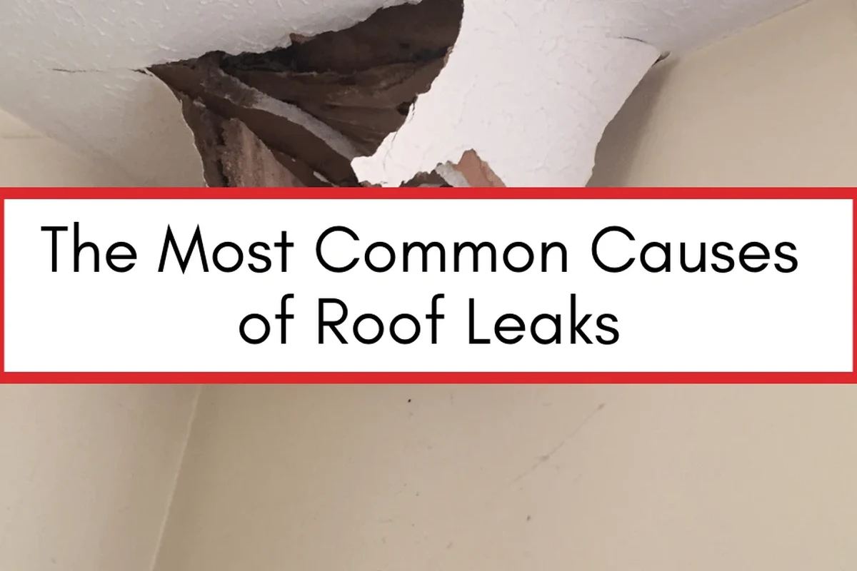 What to Do If My Roof Is Leaking Tips to Prevent Costly