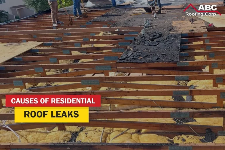 My Roof Is Leaking and I Have No Money Easy Fixes to Try Now