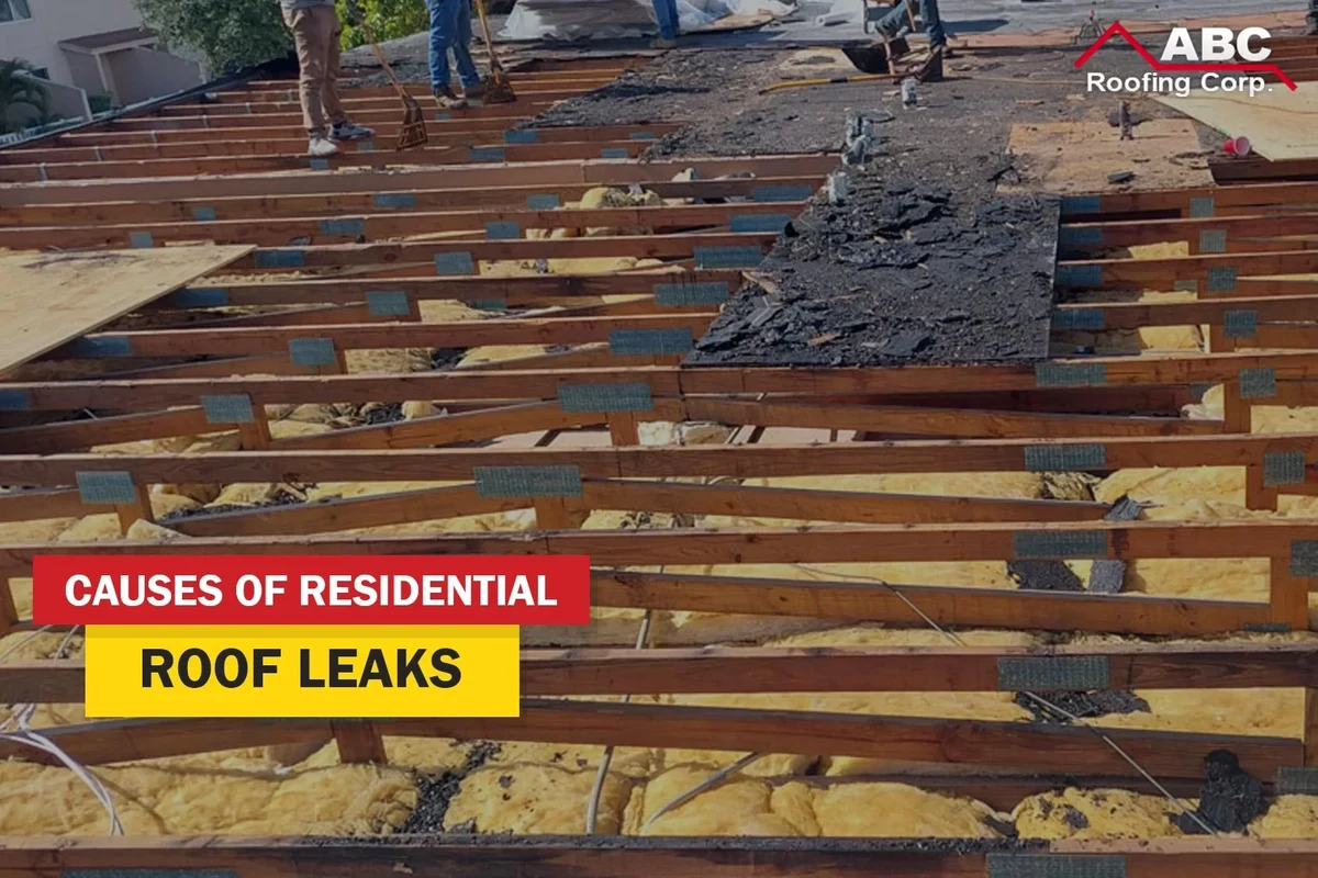 My Roof Is Leaking and I Have No Money Easy Fixes to Try Now