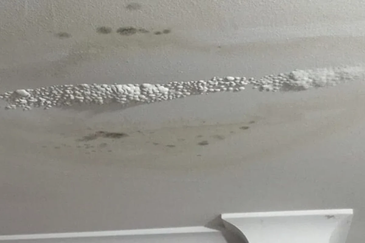 How to Stop a Ceiling Leak and Prevent Costly Water Damage in the UAE