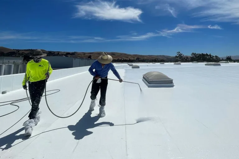 What Is Roof Coating and How IT Protects Your Home