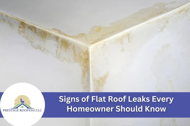 Leak in Roof What to Do Quick Fixes and Expert Tips