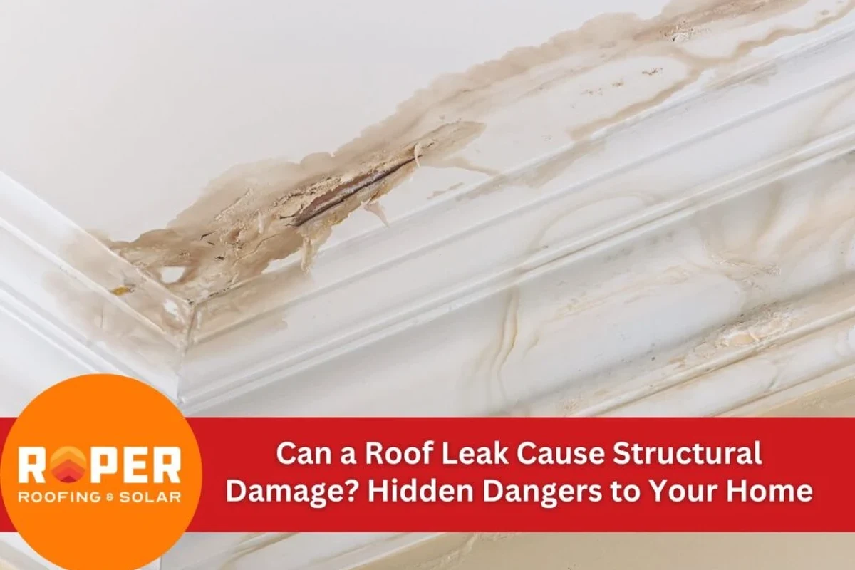 How to Patch a Leak in the Roof and Save on Repair Costs