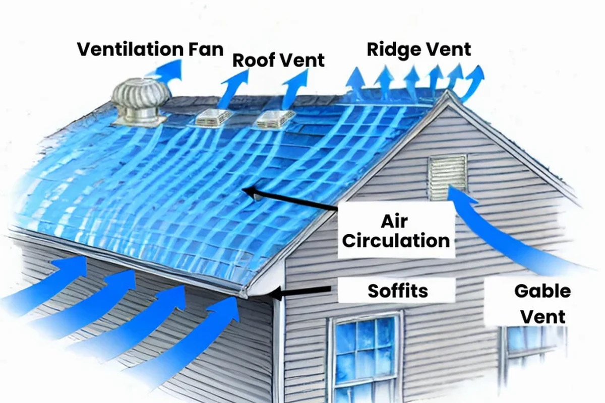 Types of Roof Vents for Houses to Improve Energy Efficiency