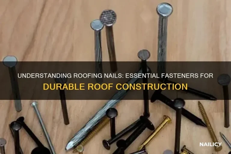 Types of Roofing Nails in Illinois Essential Guide