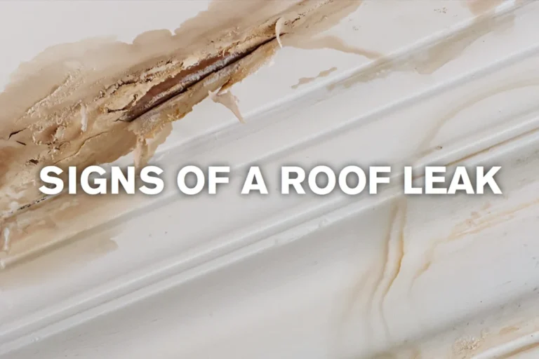 Roof Is Leaking What to Do Quick Steps to Prevent Damage