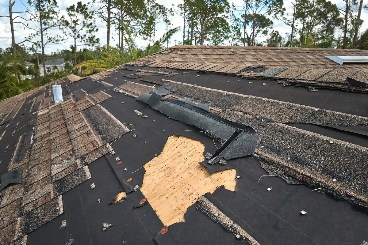 How to Know If You Need a New Roof for Better Home Safety