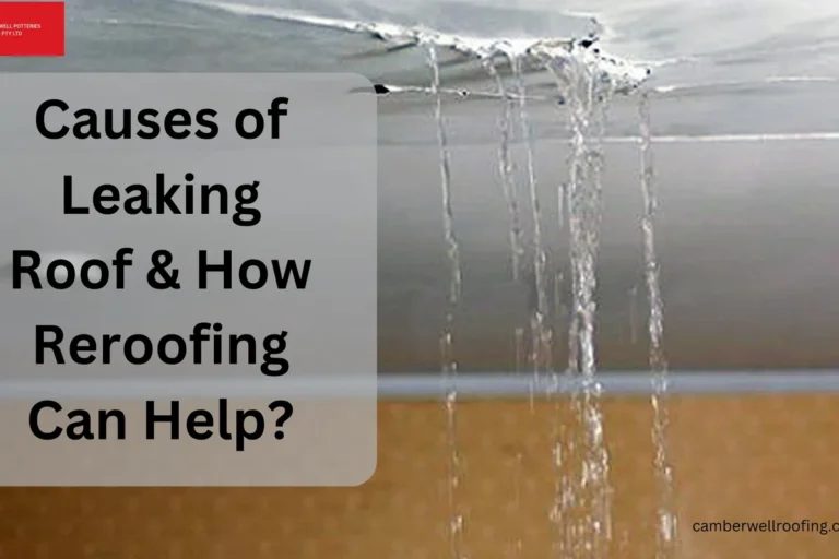 My Roof Is Leaking What Should I Do Quick Steps to Fix IT